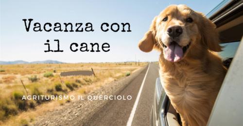 Vacanze con il cane in Maremma Toscana – Grosseto