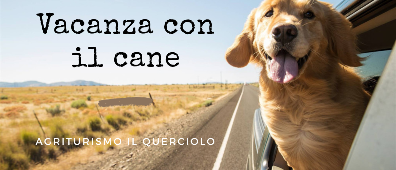 Vacanze con il cane in Maremma Toscana – Grosseto